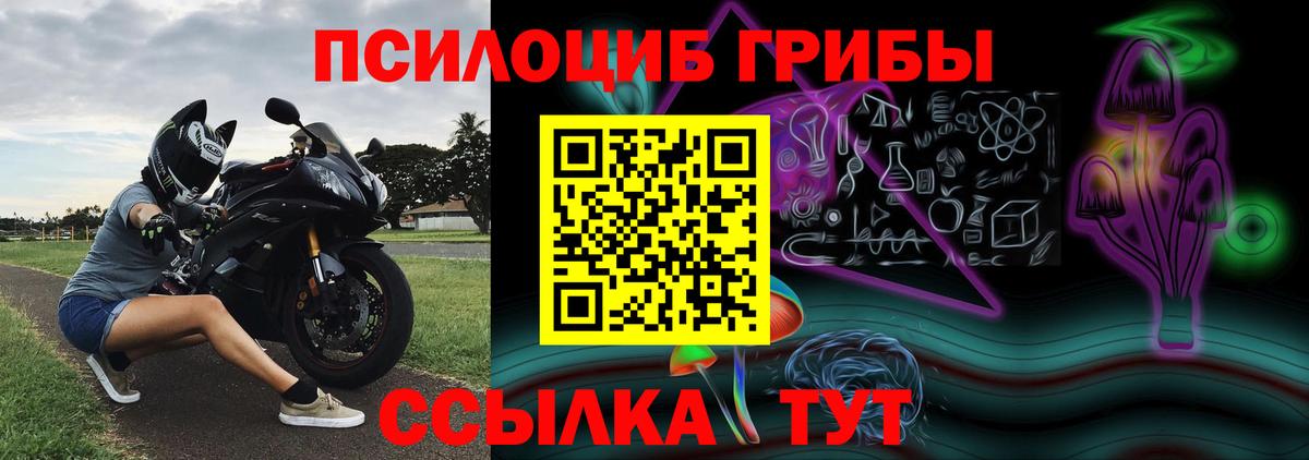 Тосно  Галлюциногенные грибы мухоморы  Вход с VPN 